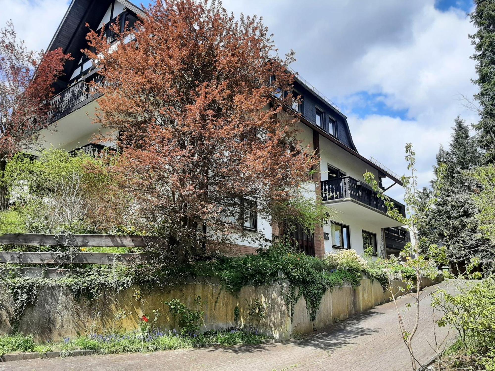 Ferienwohnung Bergblick Hallenberg Ngoại thất bức ảnh